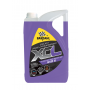 XCL G12++ Evo6 -37ºC (Morado) 3/5 LTS.